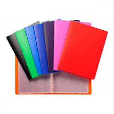 PORTE-VUES en Polypro 30 POCHETTES (60 VUES) A4