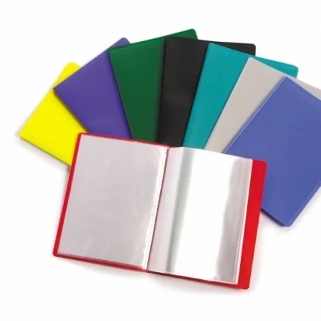 PORTE-VUES en Polypro 100 POCHETTES (200 VUES) A4