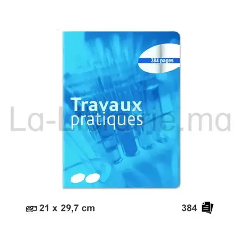 Cahier Travaux pratiques 384 pages grand format