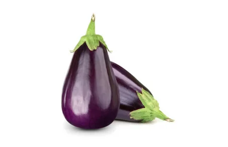 الباذنجان aubergine