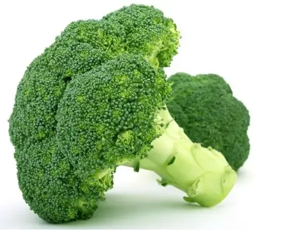 البروكلي brocoli