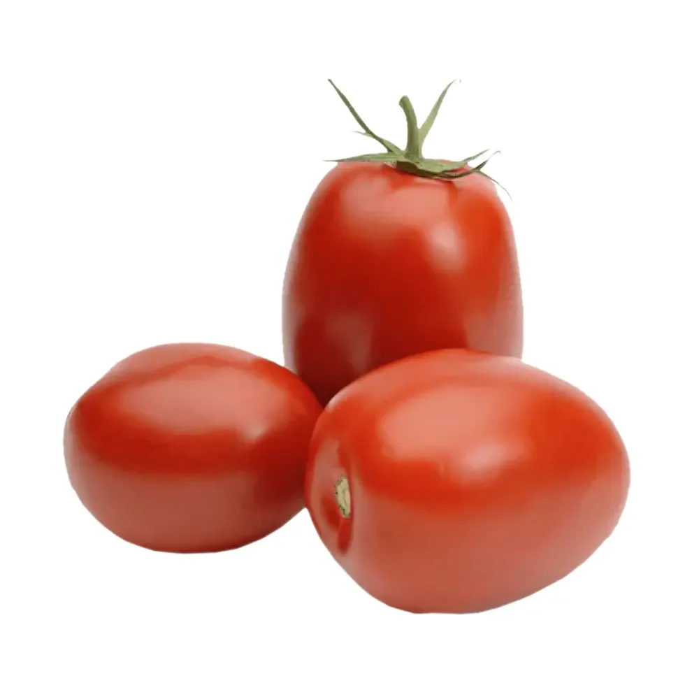 ماطيشة tomate bandeja