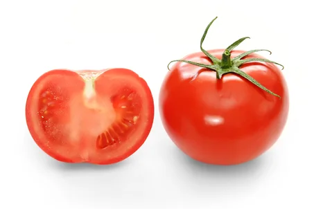 الطماطم  tomate