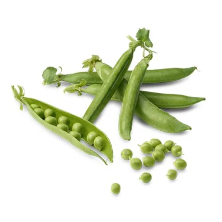 الجلبان  petit pois