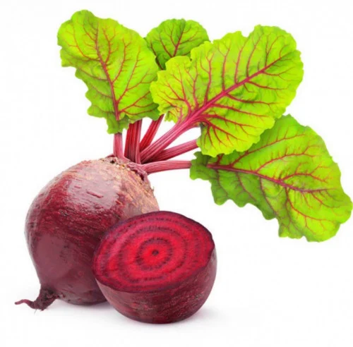 الباربا betterave