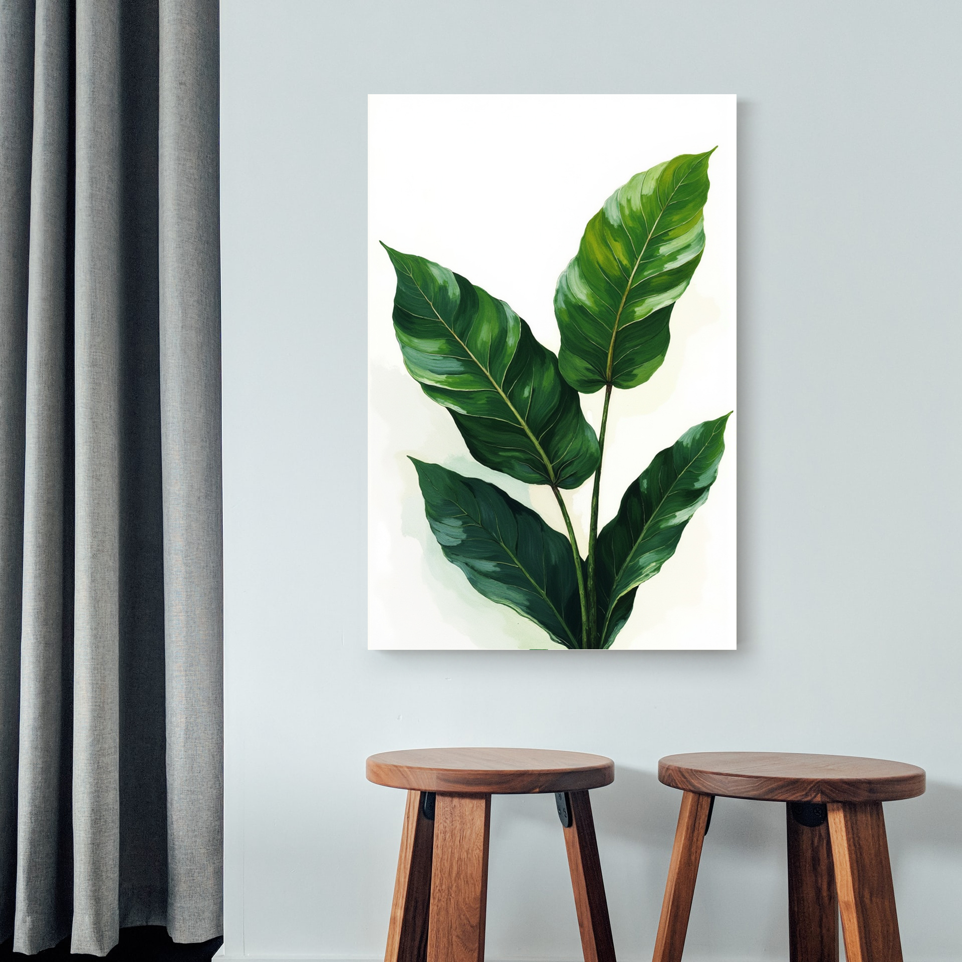 Ficus Elastica (2)