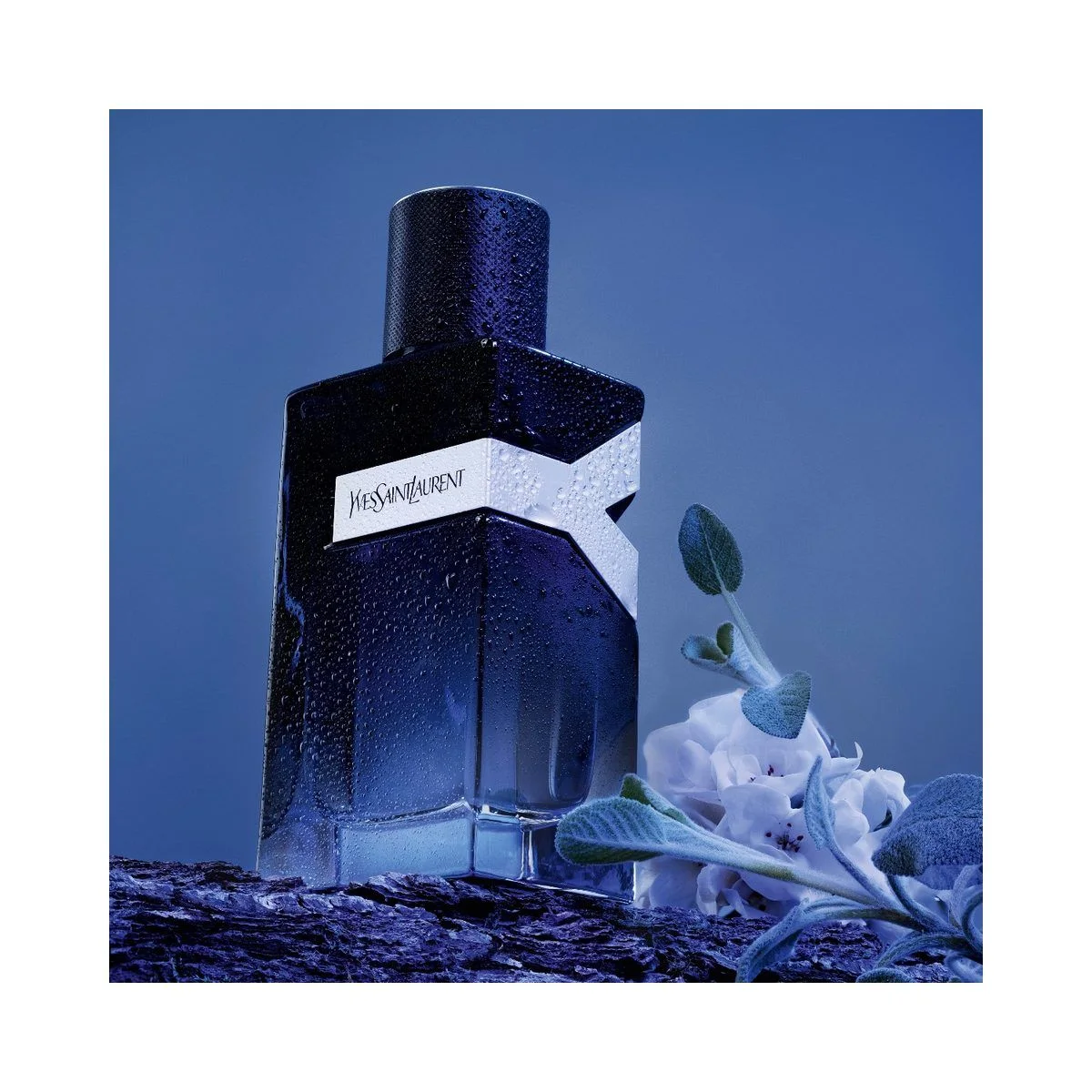 Y Eau De Parfum