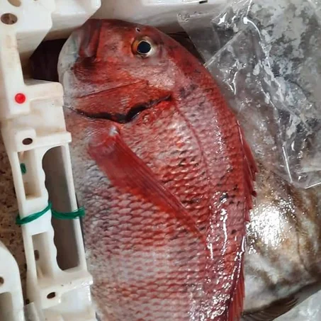 المنتج الثاني