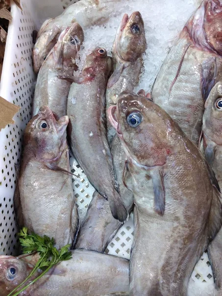 المنتج الثامن