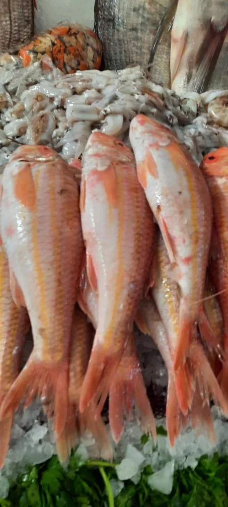 المنتج الرابع