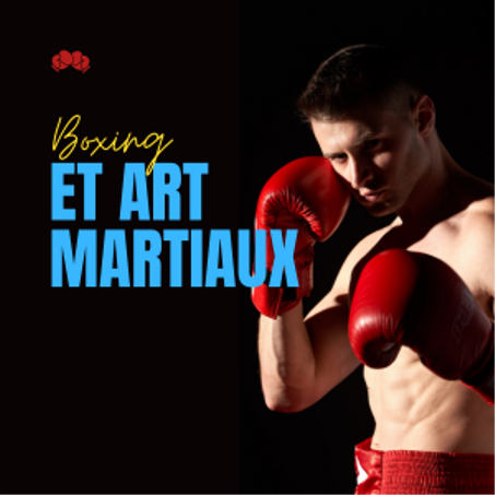 BOXE ET ART MARTIAUX