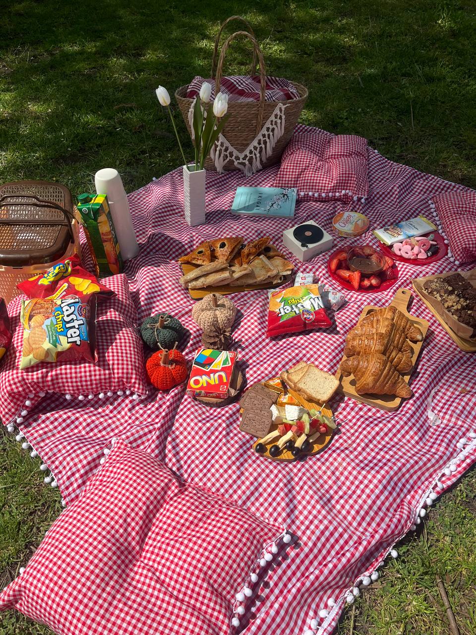 Pack Picnic للنزهة و الصيف+هدية