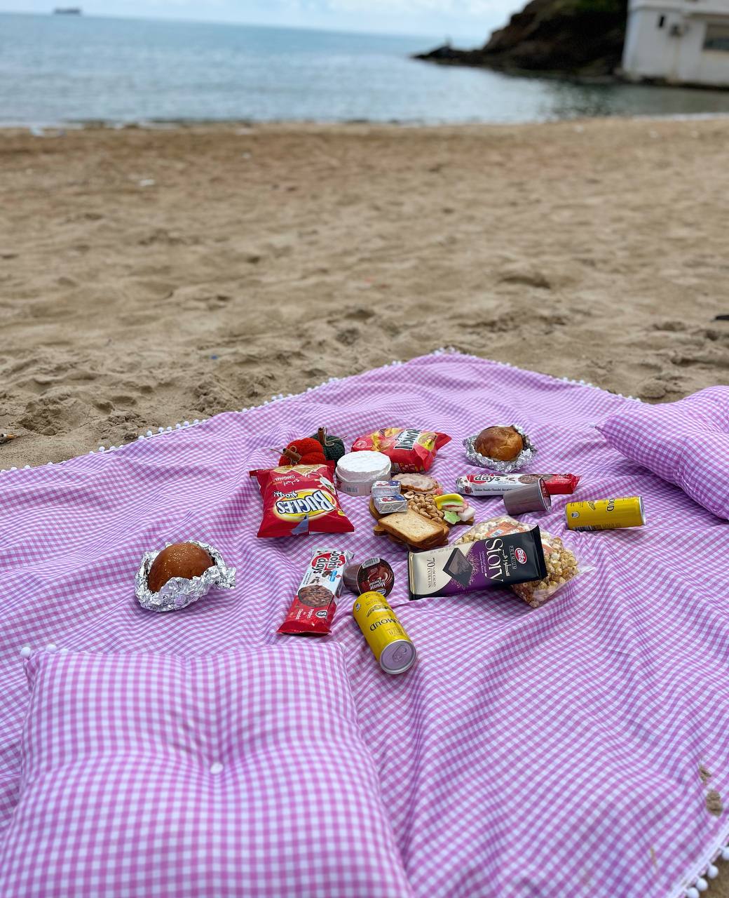 Pack Picnic للنزهة و الصيف+هدية