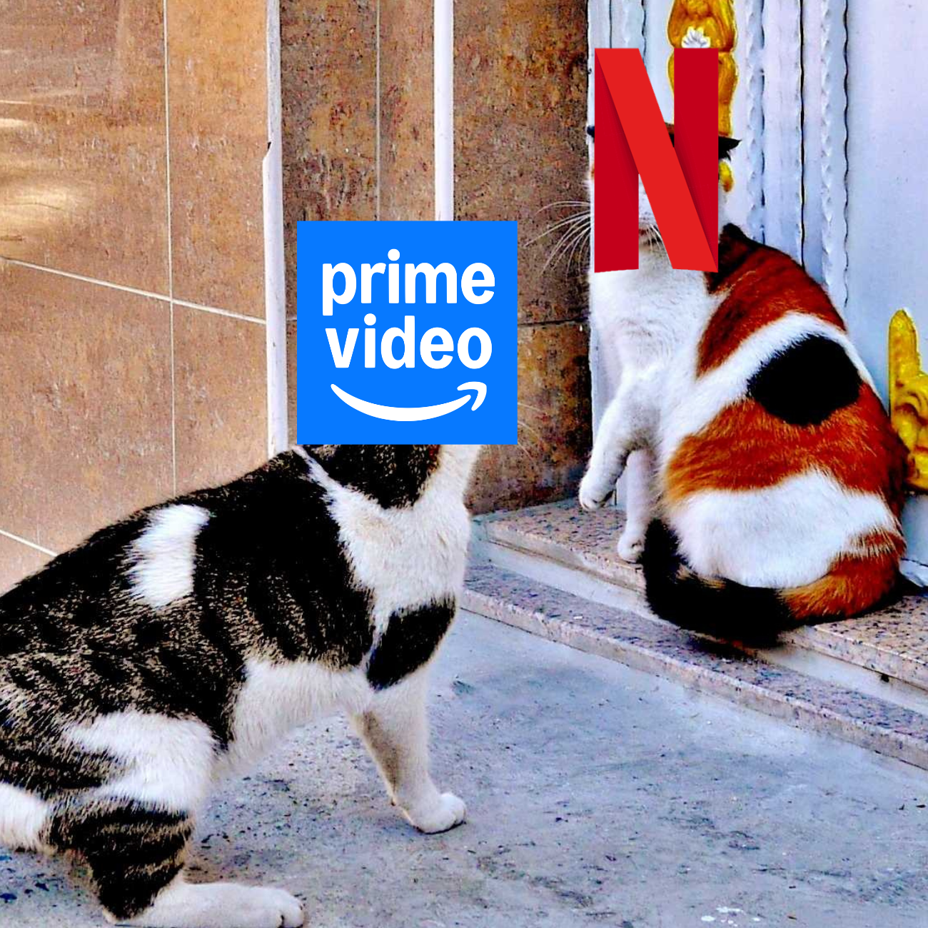 Amazon prime video
