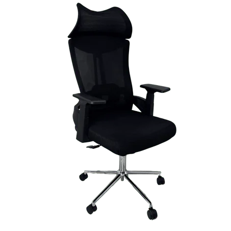 Chair Ergonomic N804