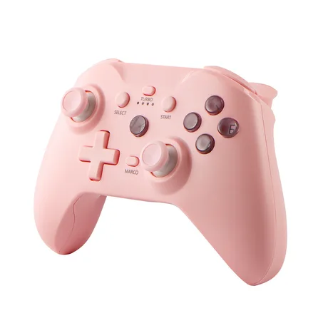 NS21 Wireless Controller