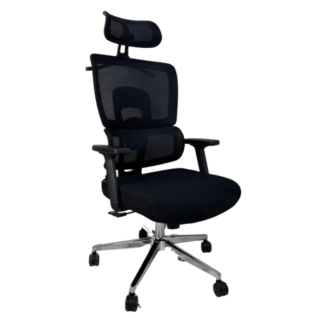 Chair Ergonomic N666