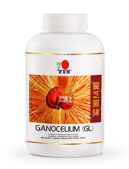 جي إل جانوسيليوم (GL) 360