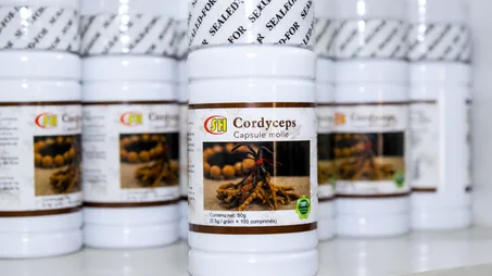 CAPSULE MOLLE CORDYCEPS