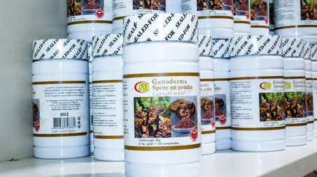 CAPSULE MOLLE GANODERMA SPORE EN POUDRE
