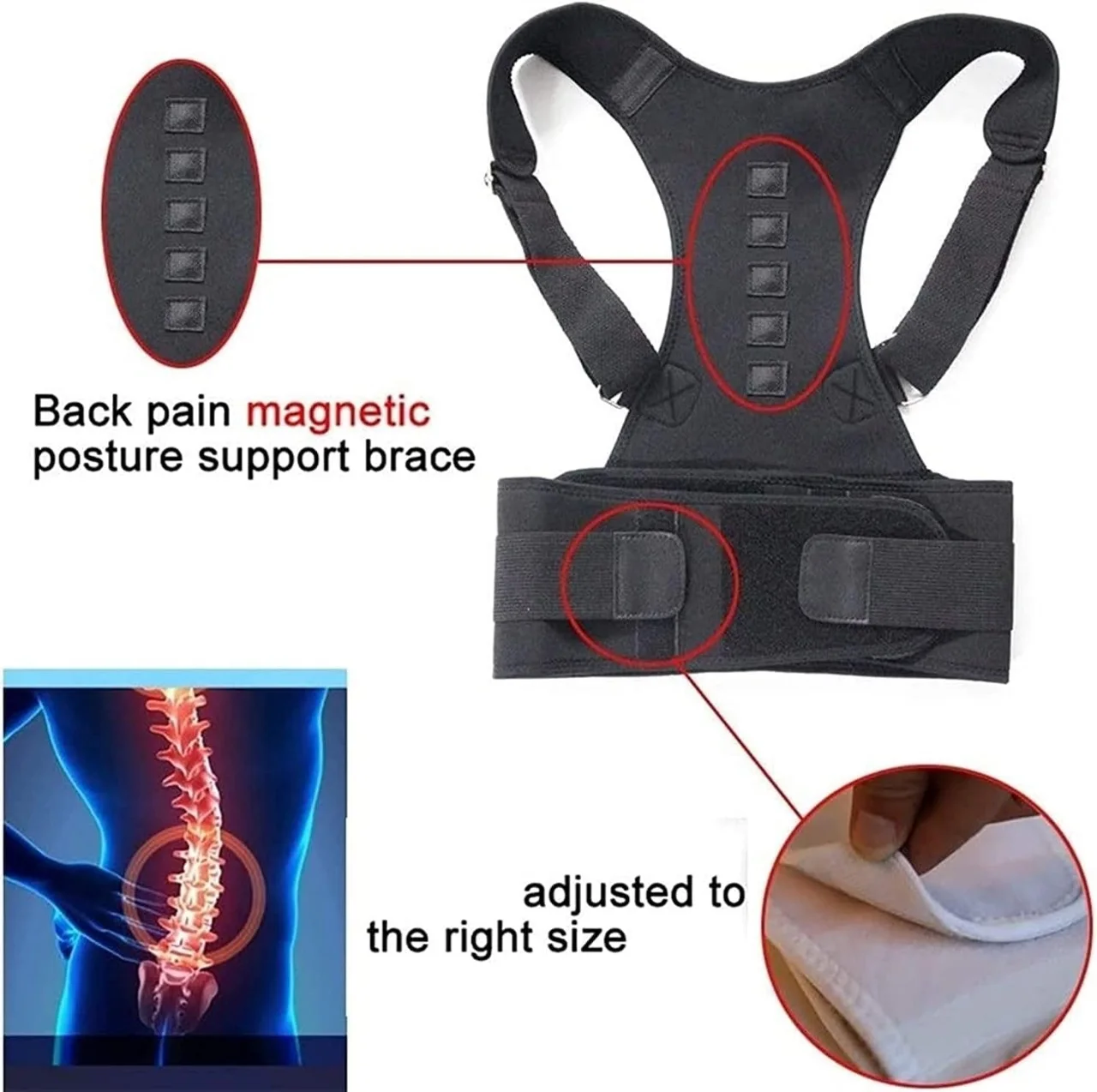 حزام شد الظهر والبطن