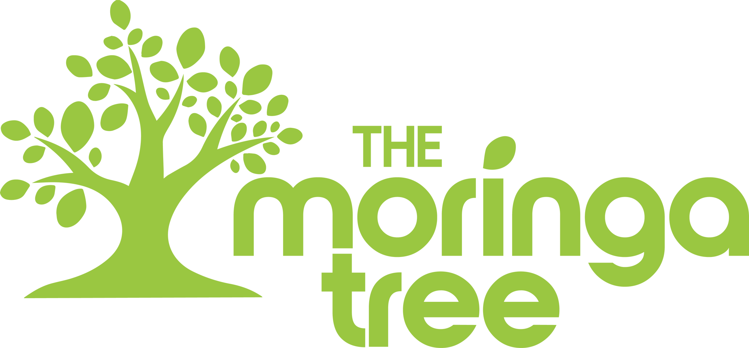 moringatea