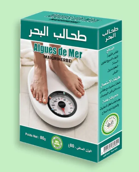 طحالب البحر