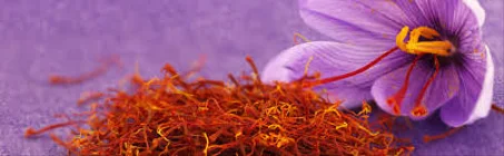 1 KG rgms moroccan safron taliwine crocus