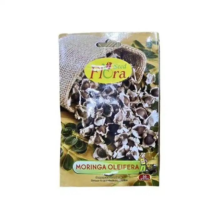 Moringa Oleifera Seeds 20 seeds FREE INTERNATIONAL DELIVERY