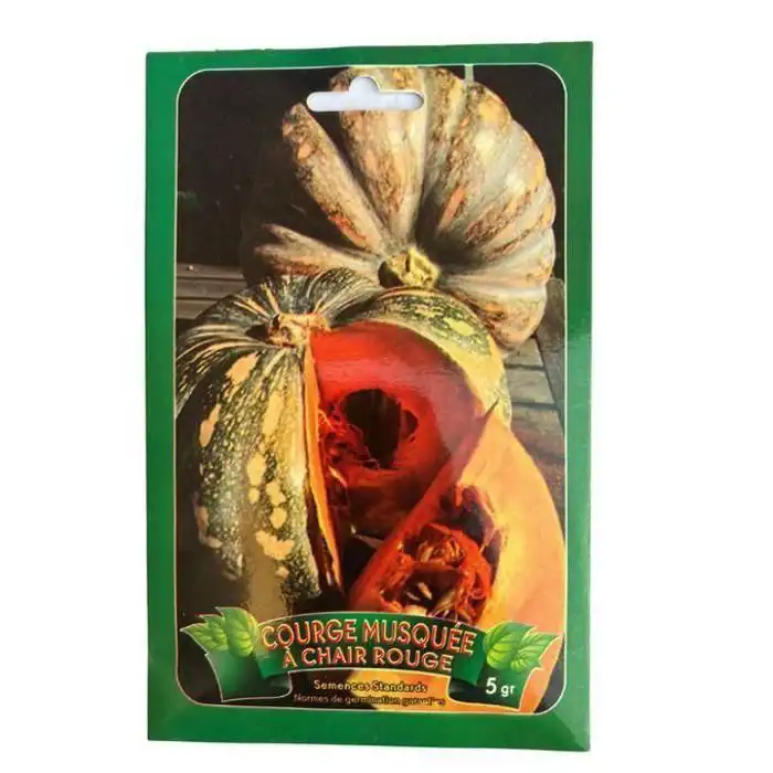 Red-fleshed butternut squash seeds from Morocco 5 GRM FREE INTERNATIONAL DELIVERY
