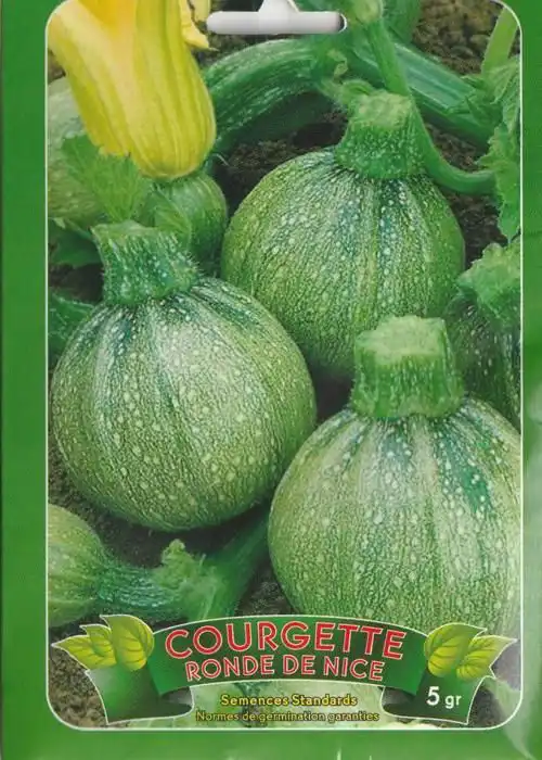 zucchini vegetable seeds from Nice free international delivery