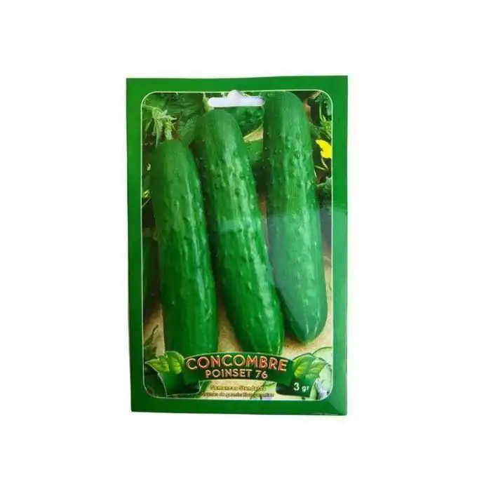 Poinset Cucumber 76 Seeds FREE INTERNATIONAL DELIVERY
