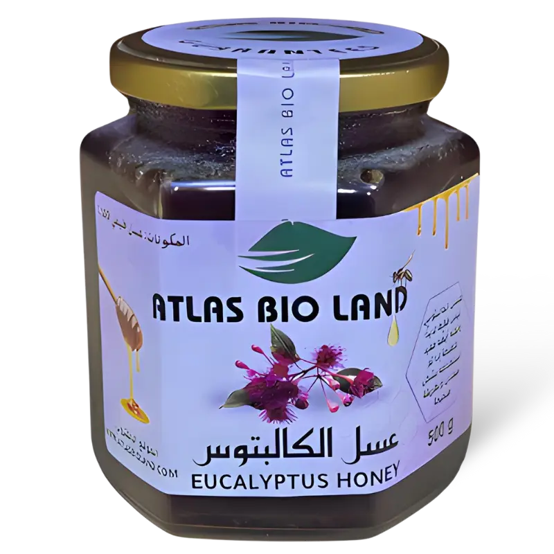 stores/7cda8932fbed448c86e6898e54061b66/products/qsfZmPpKop6e3lpARd2EV2q7viYaIQEHIPra8sjQ.webp