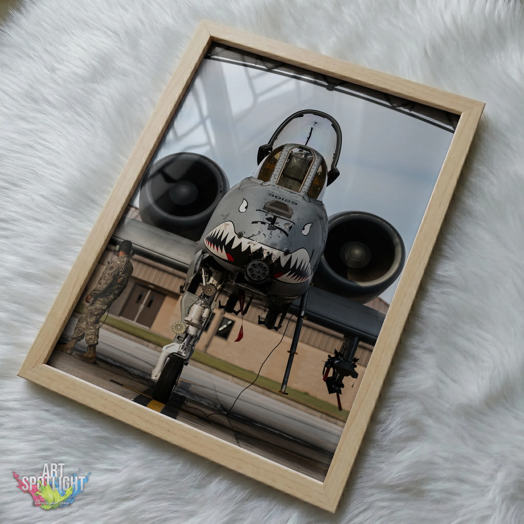 A-10 WARTHOG SHARK MOUTH