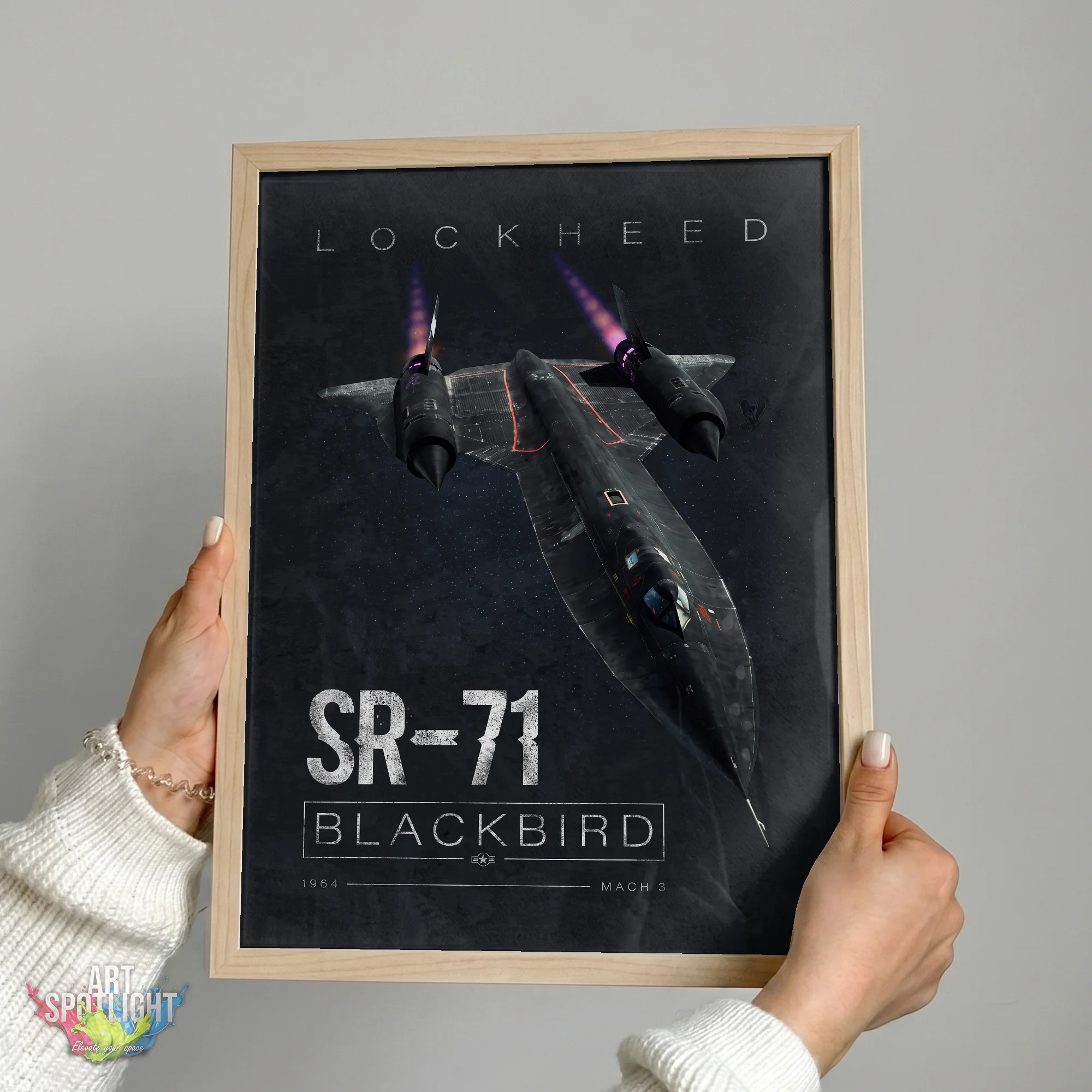 STEALTH BLACKBIRD