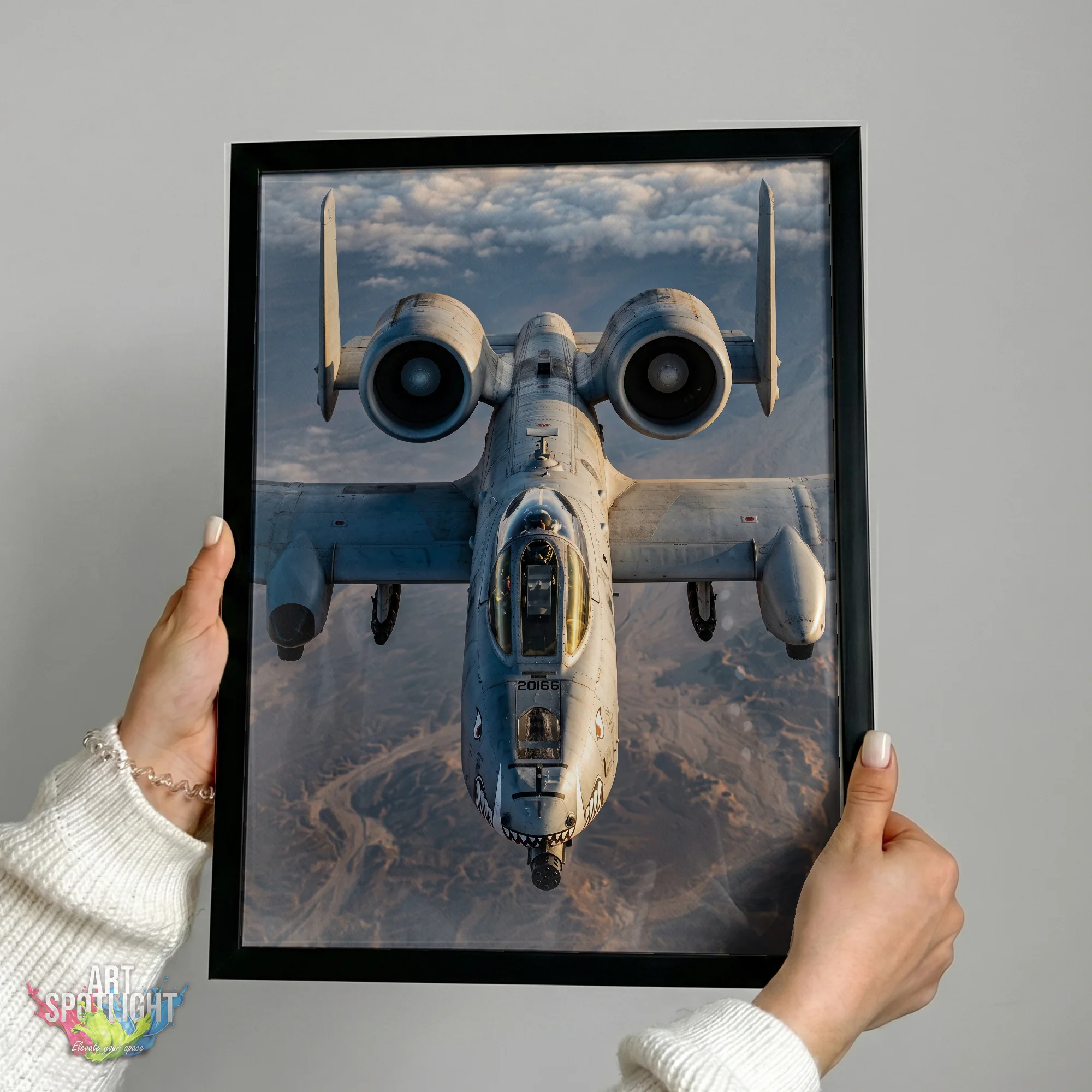 A-10 WARTHOG FRONT VIEW