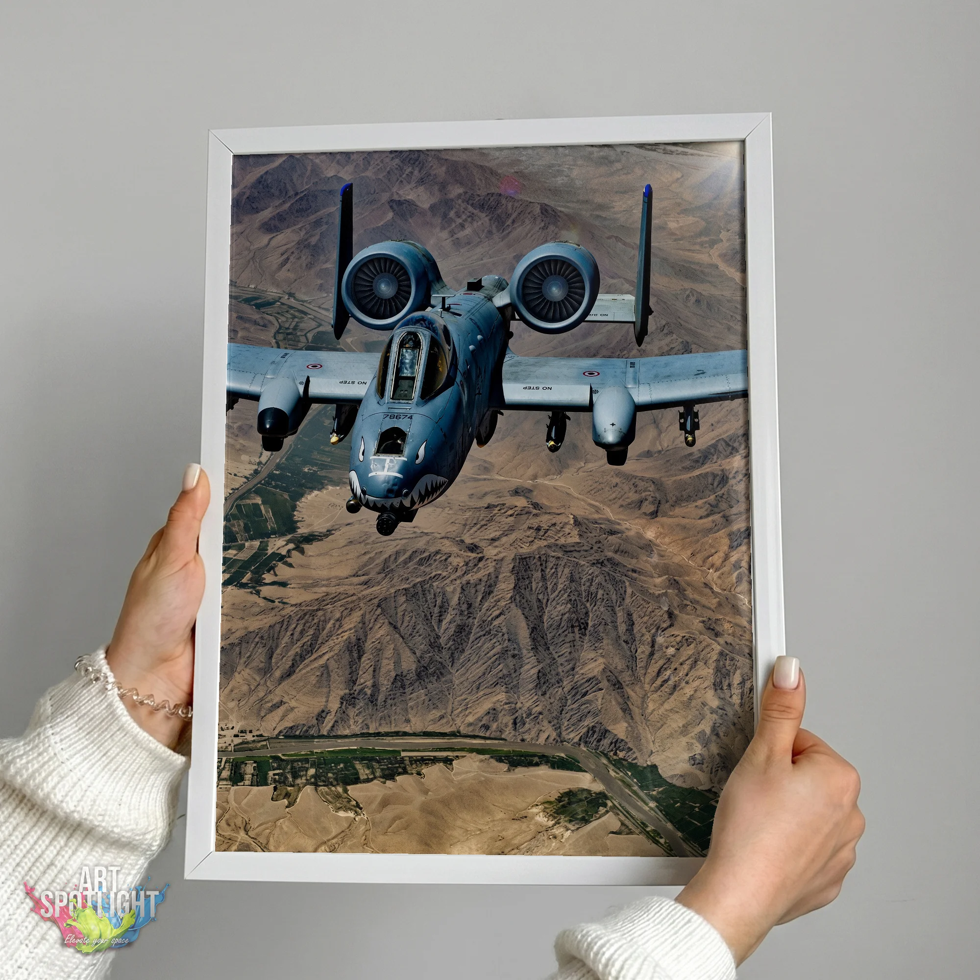 A-10 WARTHOG DESERT FLIGHT