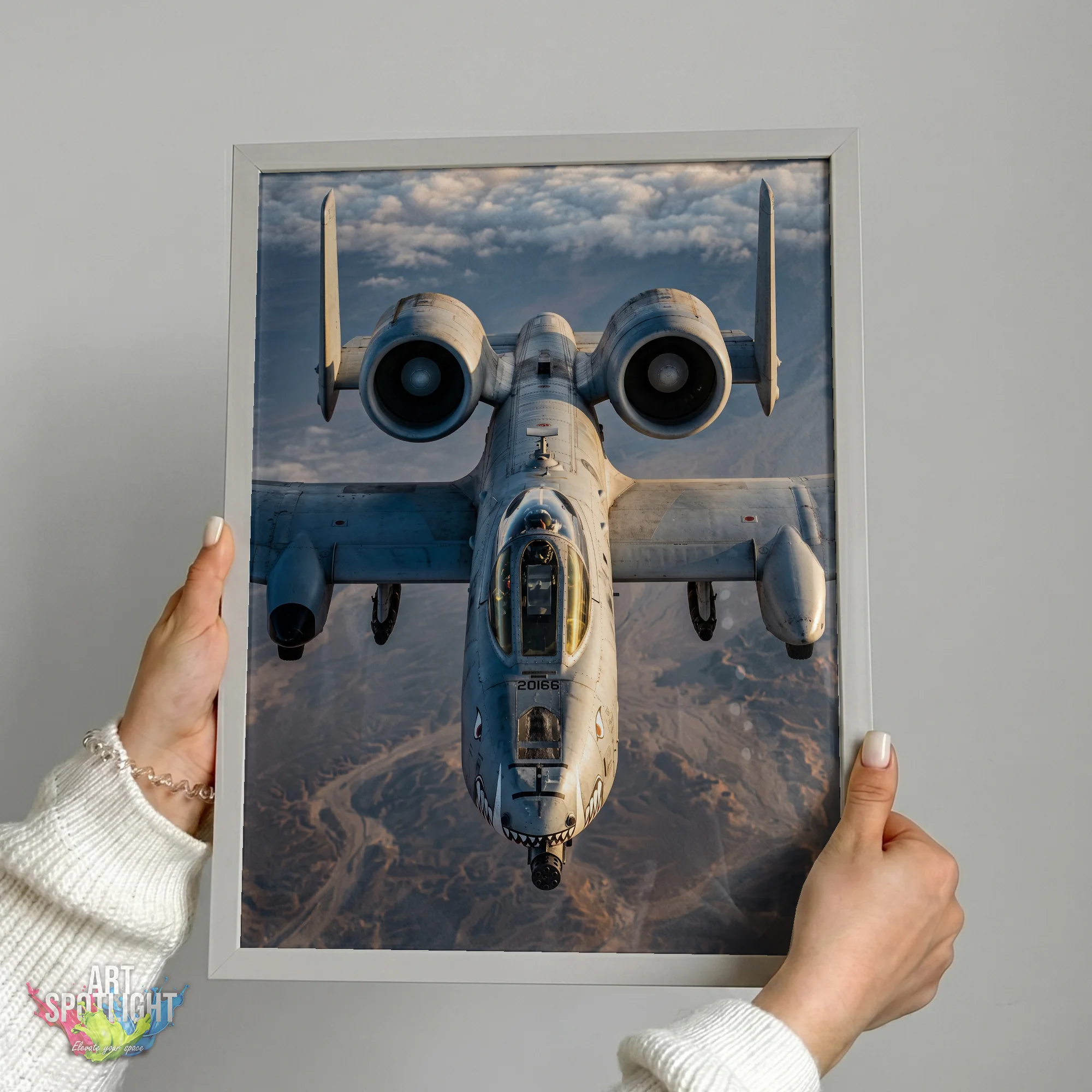 A-10 WARTHOG FRONT VIEW