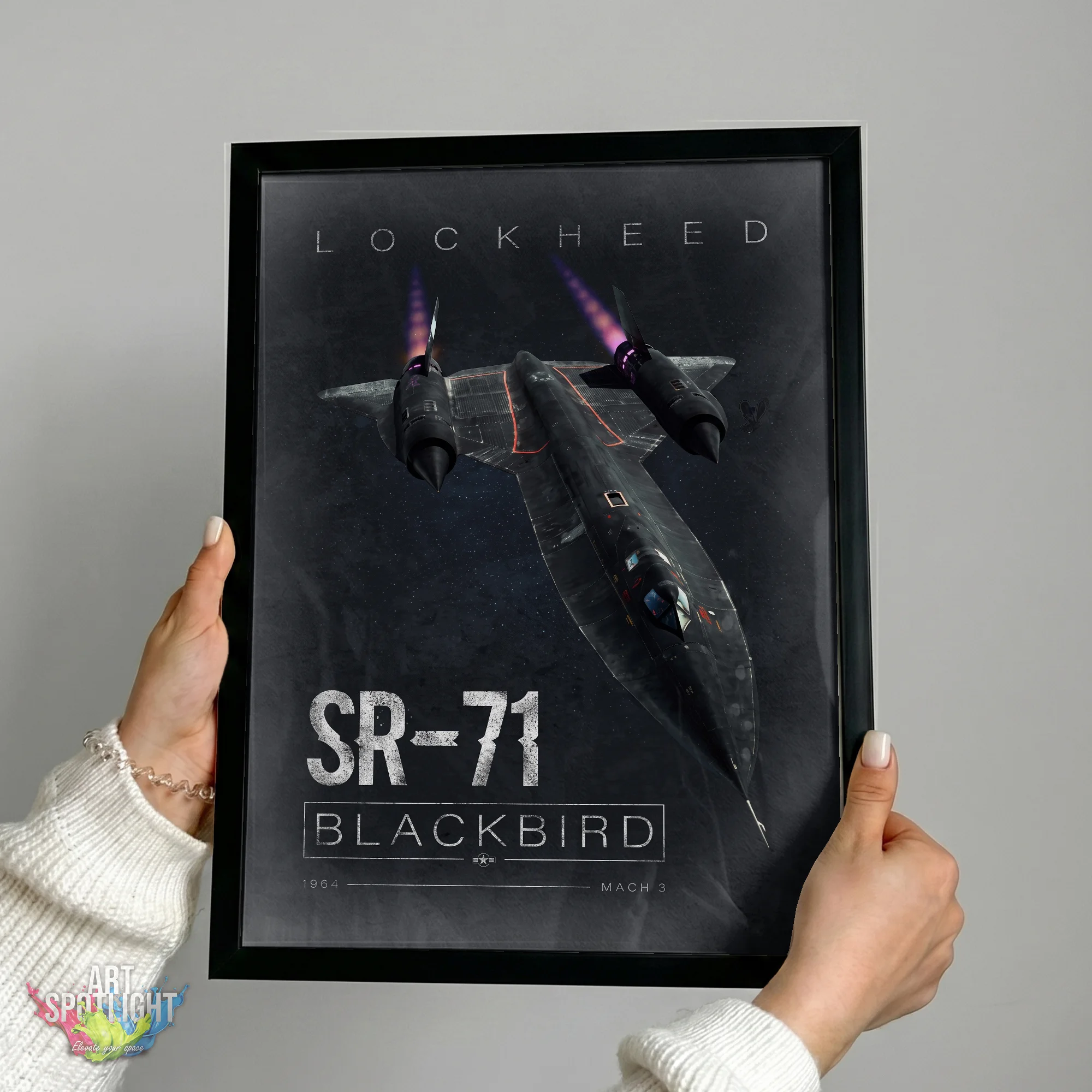 STEALTH BLACKBIRD