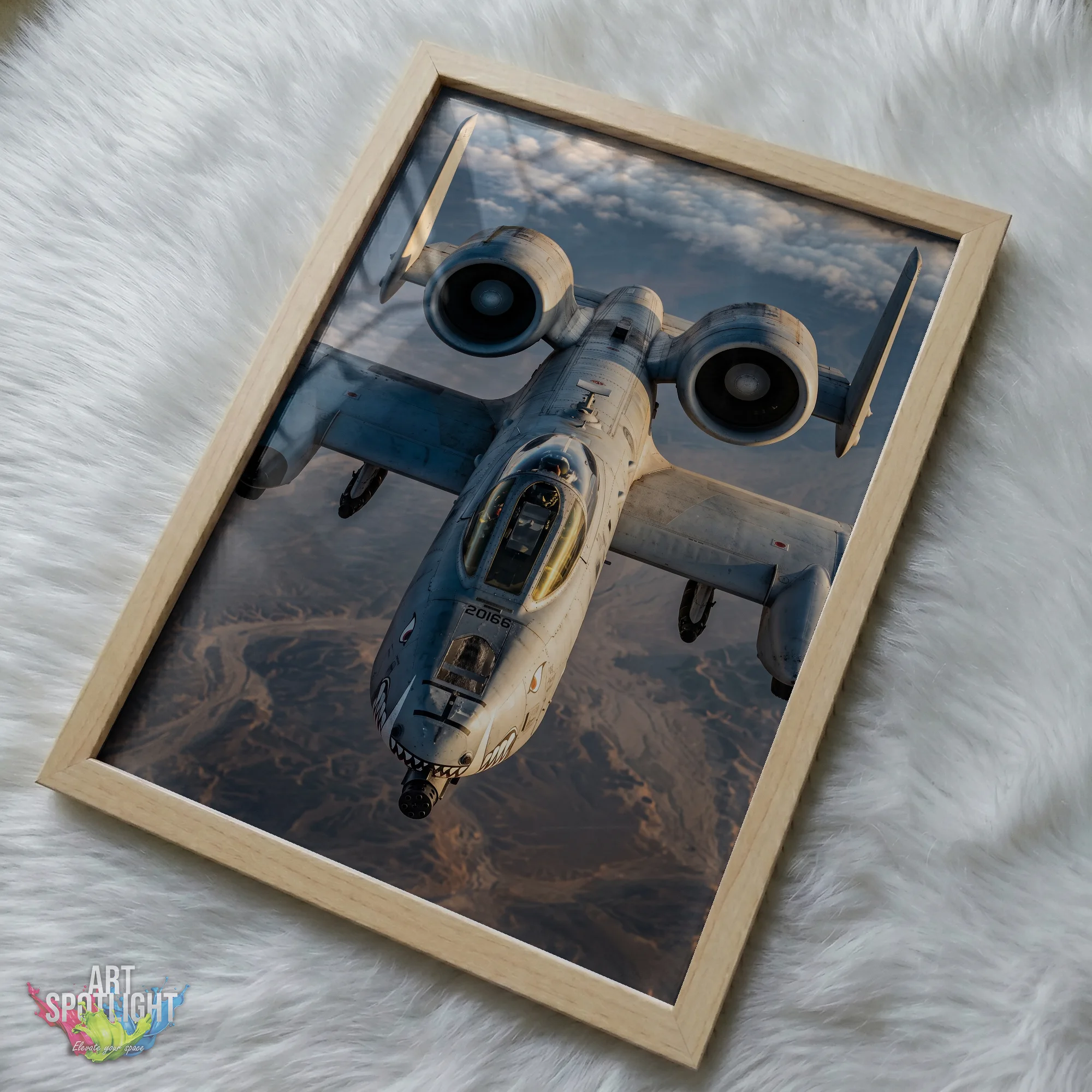 A-10 WARTHOG FRONT VIEW