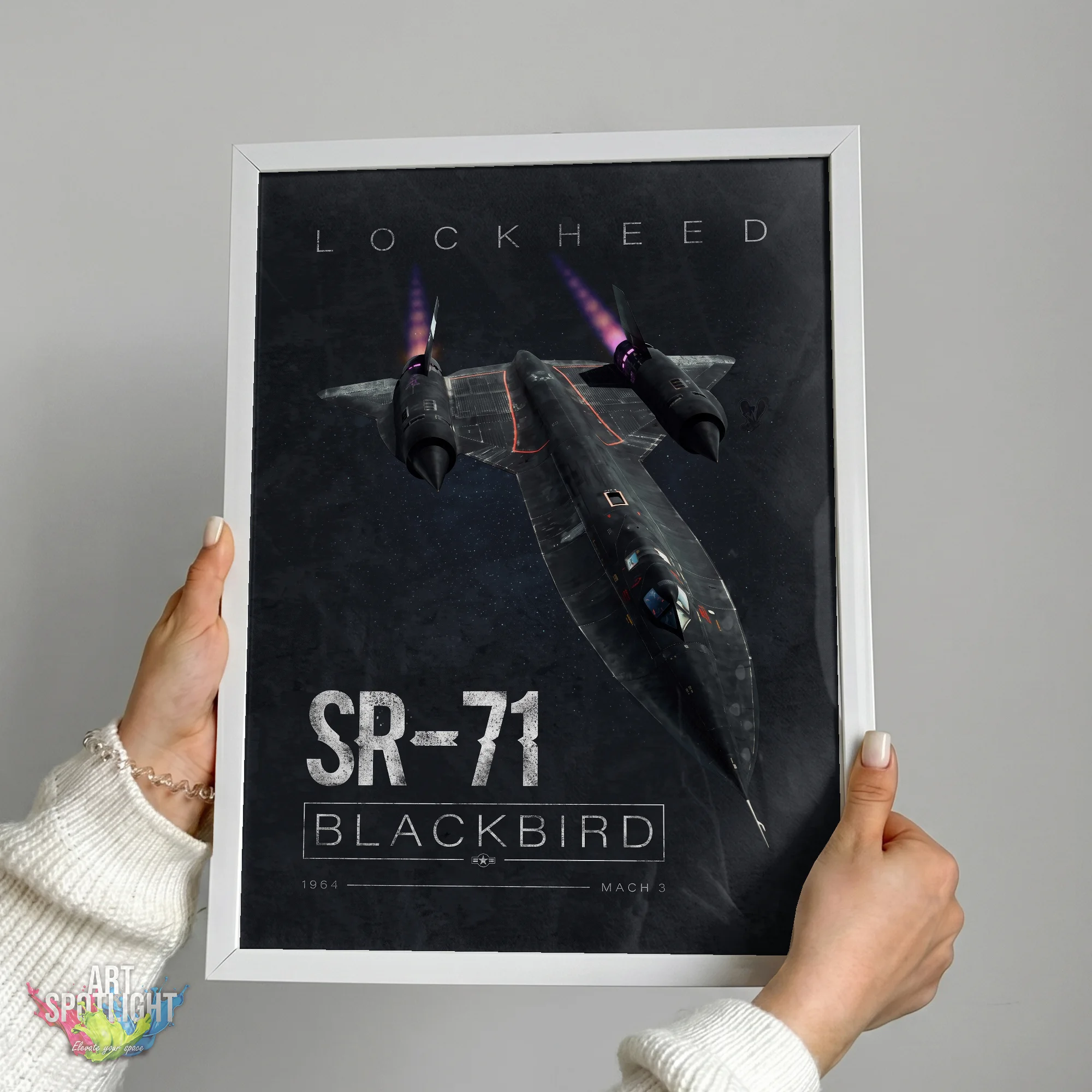 STEALTH BLACKBIRD