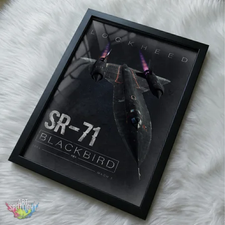STEALTH BLACKBIRD