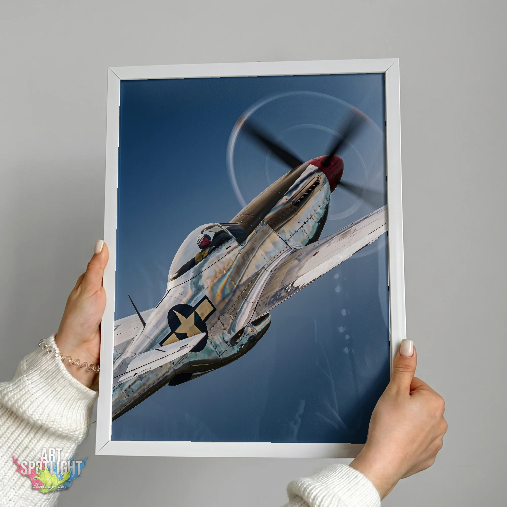 P-51 MUSTANG