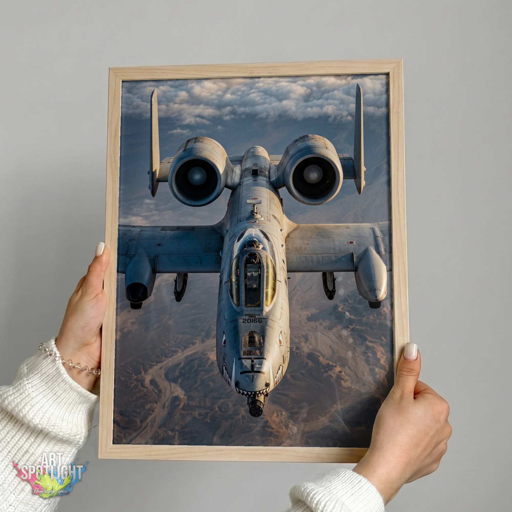A-10 WARTHOG FRONT VIEW