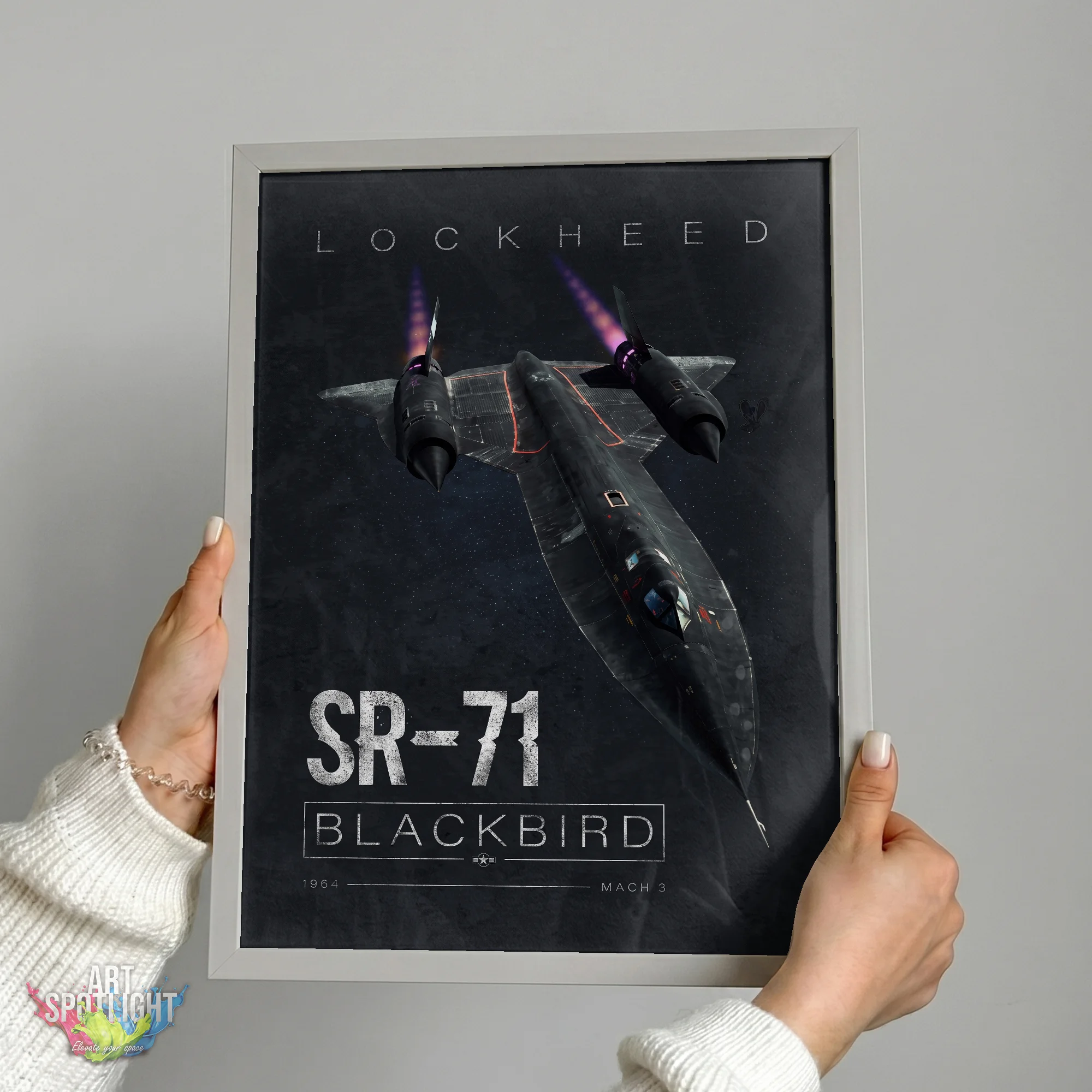 STEALTH BLACKBIRD