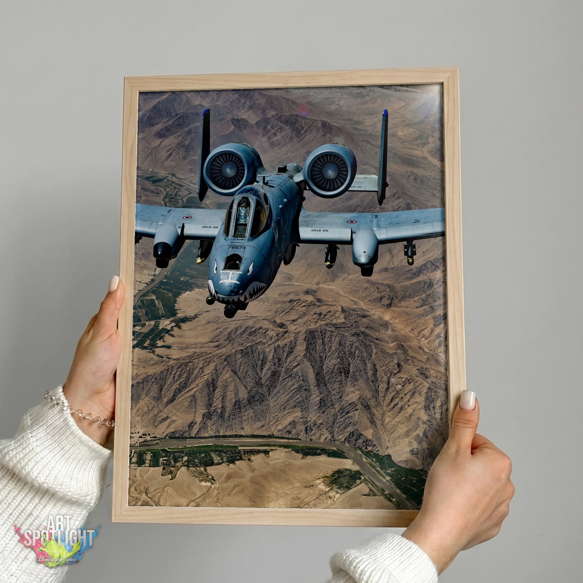 A-10 WARTHOG DESERT FLIGHT