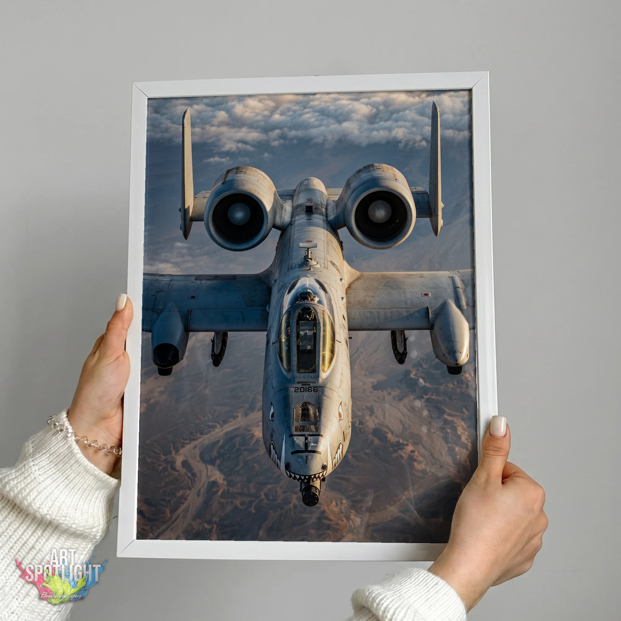 A-10 WARTHOG FRONT VIEW