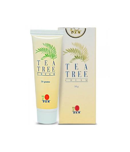 كريم شجرة الشاي Dxn : الحل الامثل لمشاكل البشرة والطفوح الجلدية