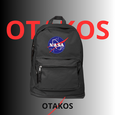 nasa bag