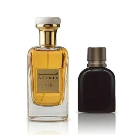 AFINIS INTS
